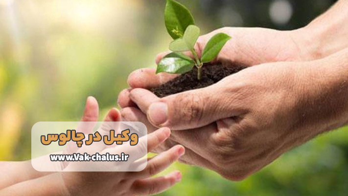 اهمیت وکیل محیط زیست در منطقه چالوس